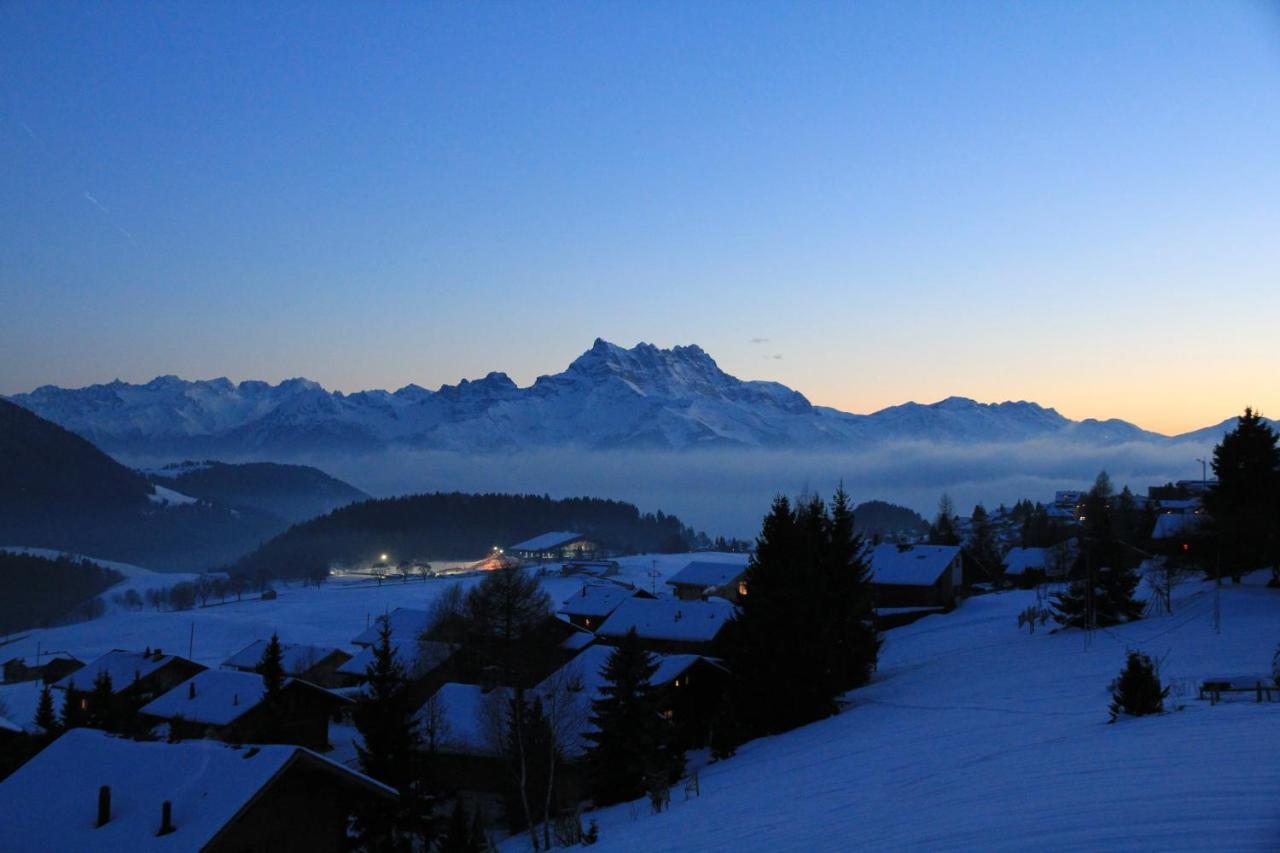 La Petite Silene Daire Leysin Dış mekan fotoğraf