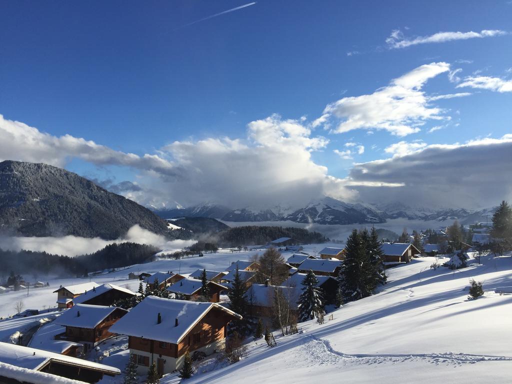 La Petite Silene Daire Leysin Oda fotoğraf