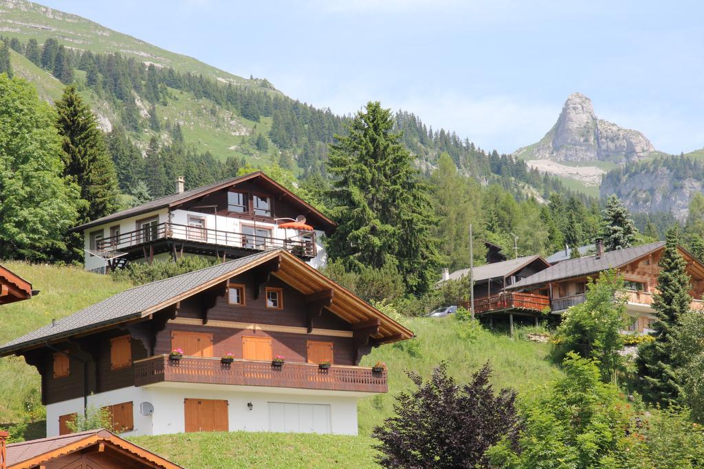 La Petite Silene Daire Leysin Oda fotoğraf