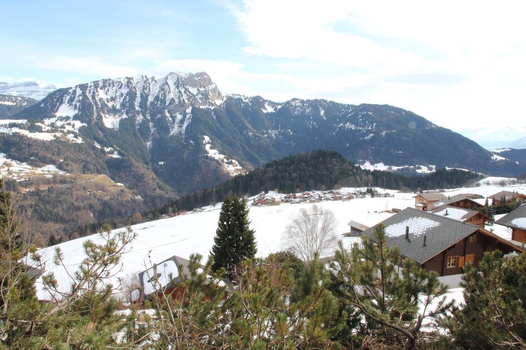La Petite Silene Daire Leysin Dış mekan fotoğraf