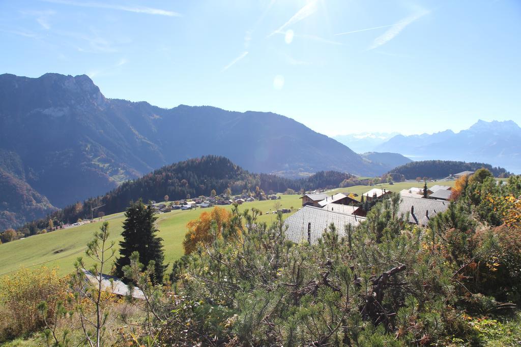 La Petite Silene Daire Leysin Dış mekan fotoğraf
