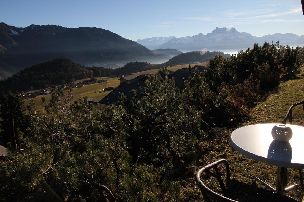 La Petite Silene Daire Leysin Dış mekan fotoğraf