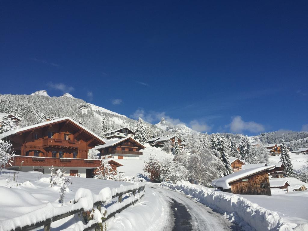 La Petite Silene Daire Leysin Dış mekan fotoğraf