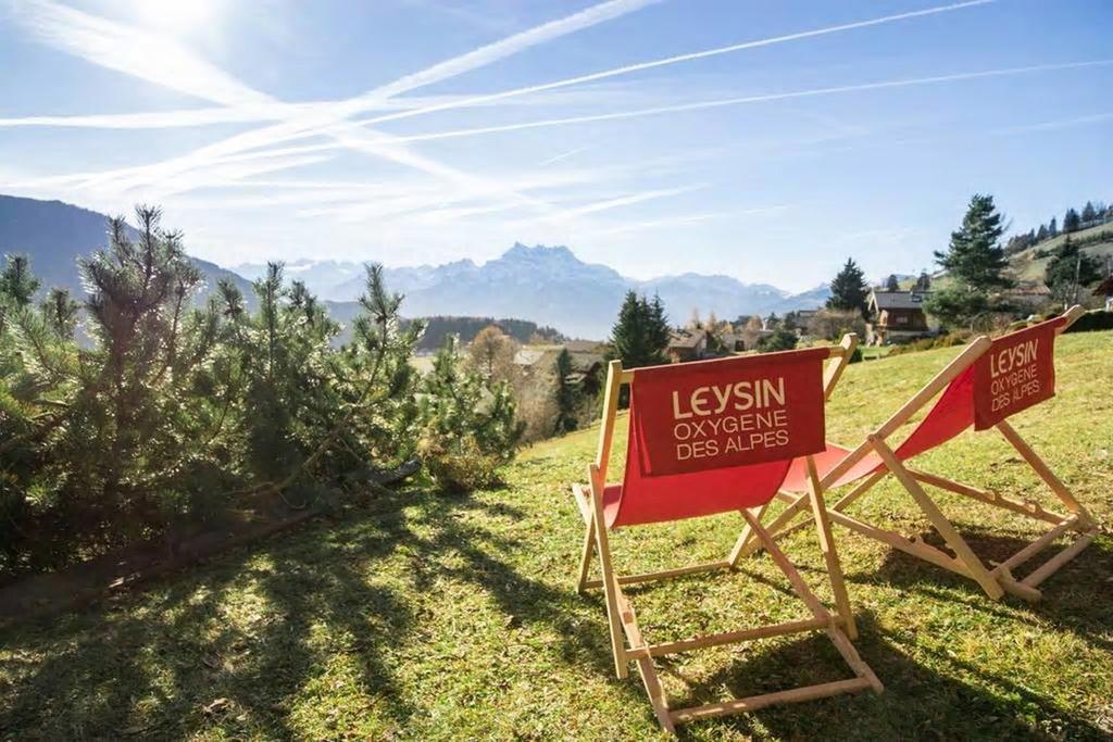 La Petite Silene Daire Leysin Dış mekan fotoğraf